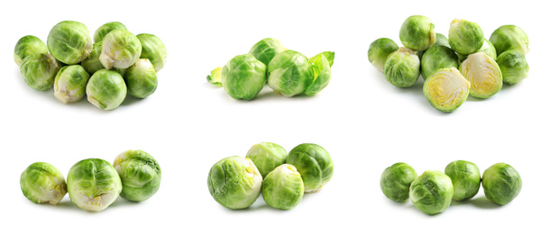 Set of fresh Brussels sprouts on white background. Banner design