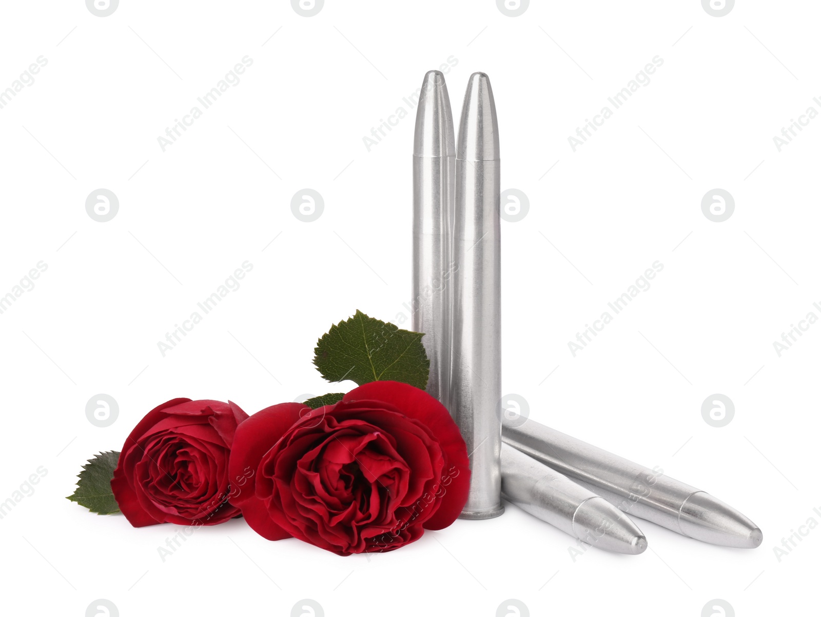 Photo of Bullets and red roses isolated on white