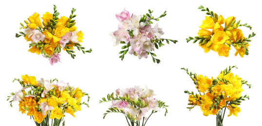 Image of Set of beautiful freesia flowers on white background. Banner design