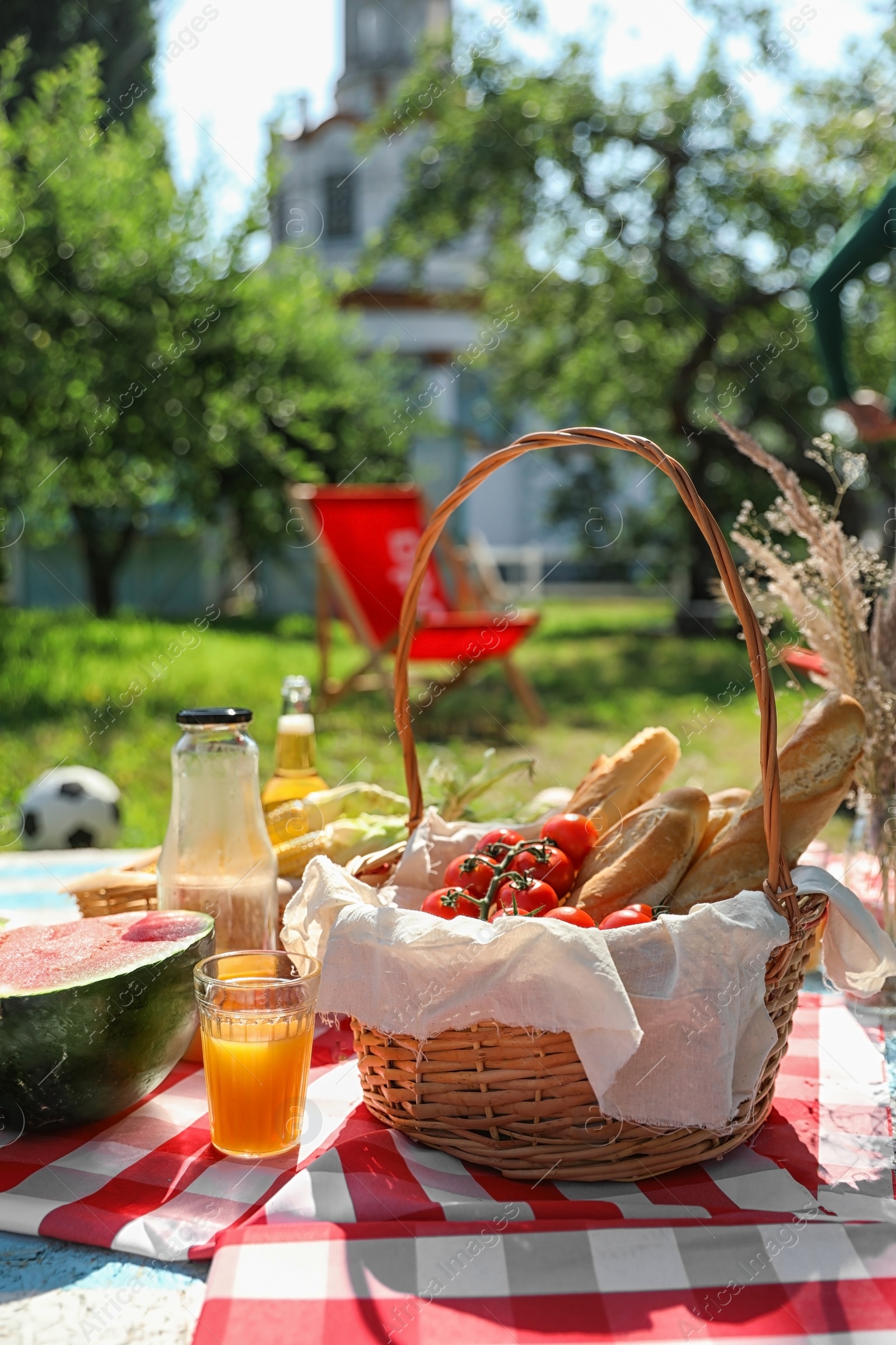 Photo of Different products for summer picnic served on checkered blanket outdoors