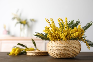 Photo of Beautiful mimosa flowers in wicker basket on wooden table indoors, space for text
