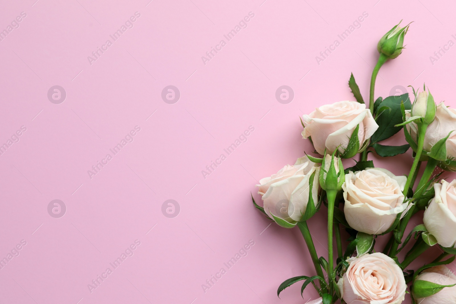 Photo of Beautiful bouquet of white roses on light pink background, flat lay. Space for text