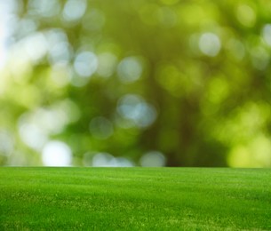 Image of Beautiful lawn with green grass on sunny day. Bokeh effect