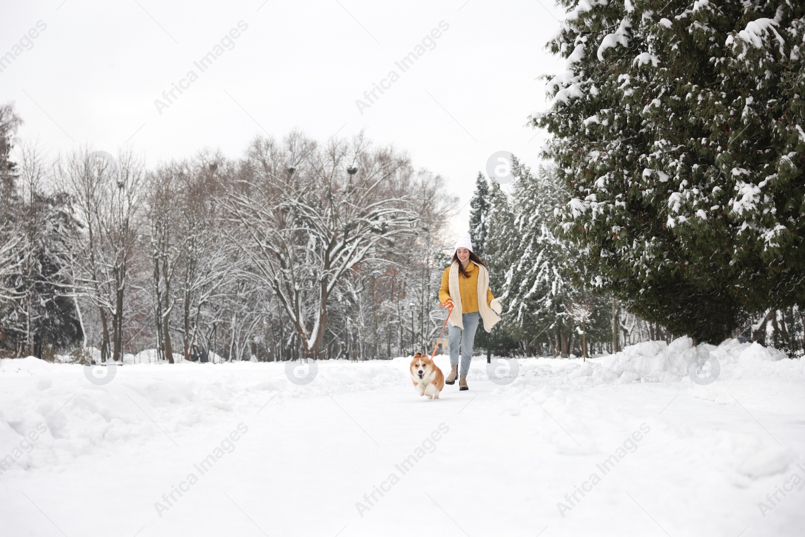 Photo of Woman with adorable Pembroke Welsh Corgi dog running in snowy park