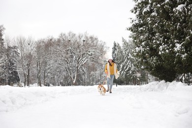 Photo of Woman with adorable Pembroke Welsh Corgi dog running in snowy park