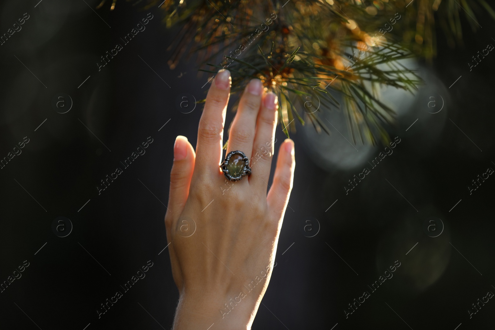 Photo of Young woman wearing beautiful silver ring with prehnite gemstone near pine, closeup