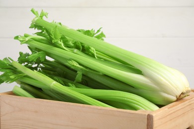 Wooden box with fresh celery bunches, closeup