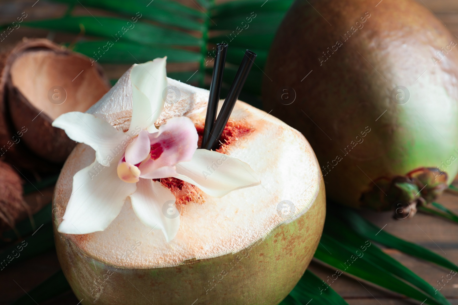 Photo of Fresh green coconut with drinking straws and orchid flower on table, closeup