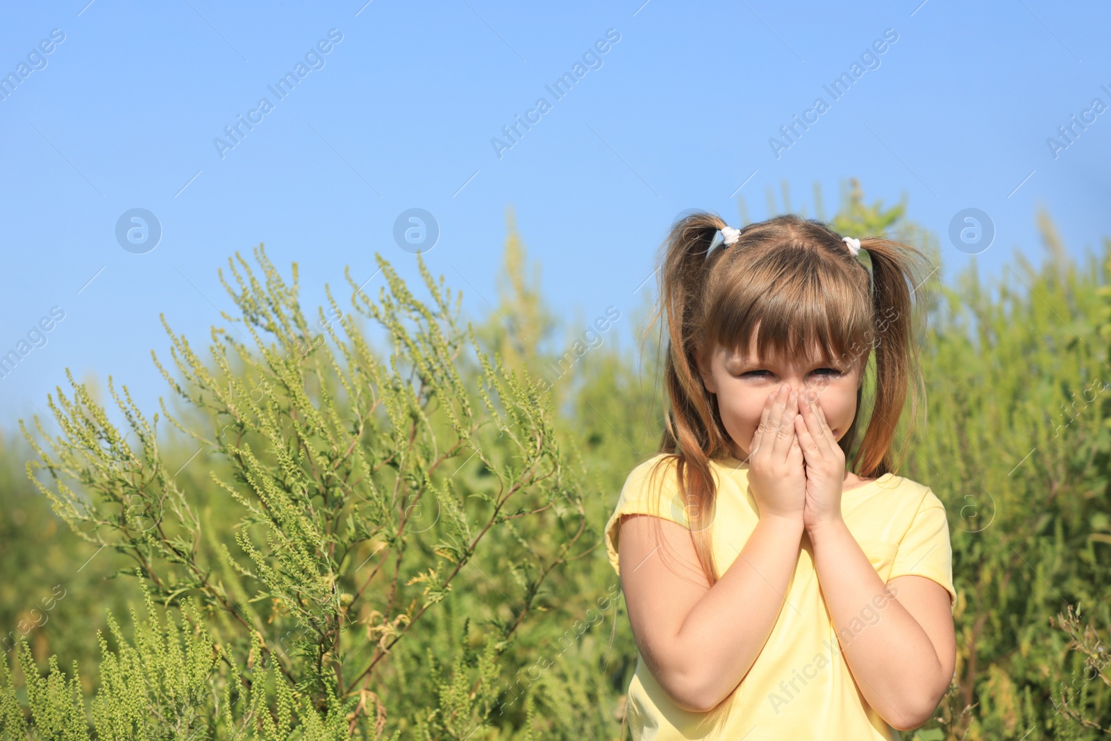 Photo of Little girl suffering from ragweed allergy outdoors