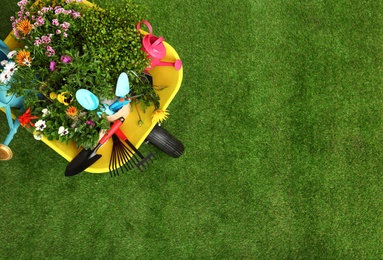 Photo of Wheelbarrow with flowers and gardening tools on grass, top view. Space for text