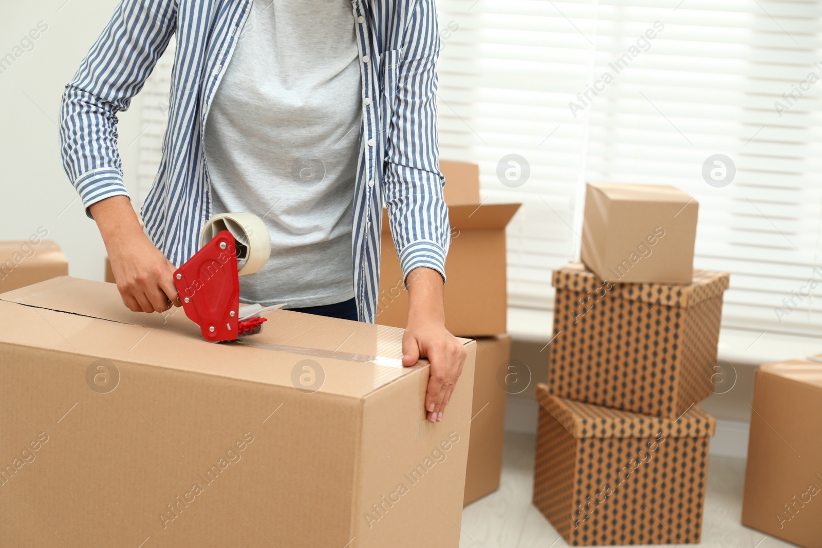 Photo of Woman packing cardboard box indoors, closeup. Moving day