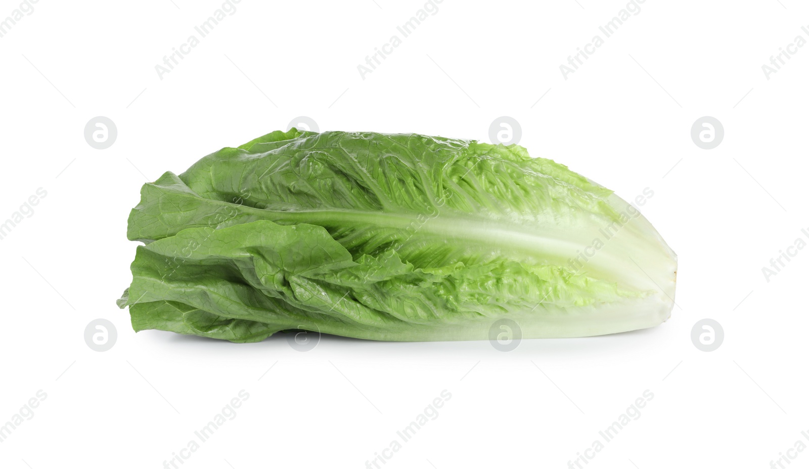 Photo of Fresh green romaine lettuce isolated on white