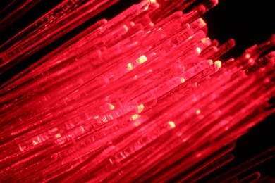 Photo of Optical fiber strands transmitting red light in darkness, macro view