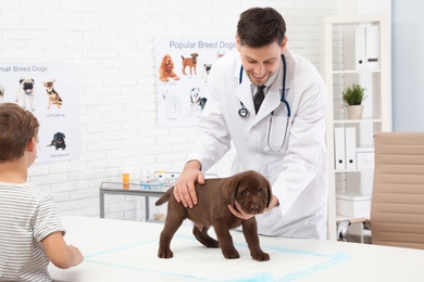 Photo of Boy with his pet visiting veterinarian in clinic. Doc examining puppy
