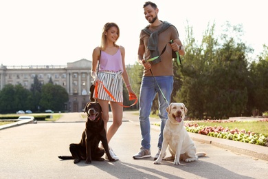 Photo of Owners walking their labrador retrievers outdoors on sunny day