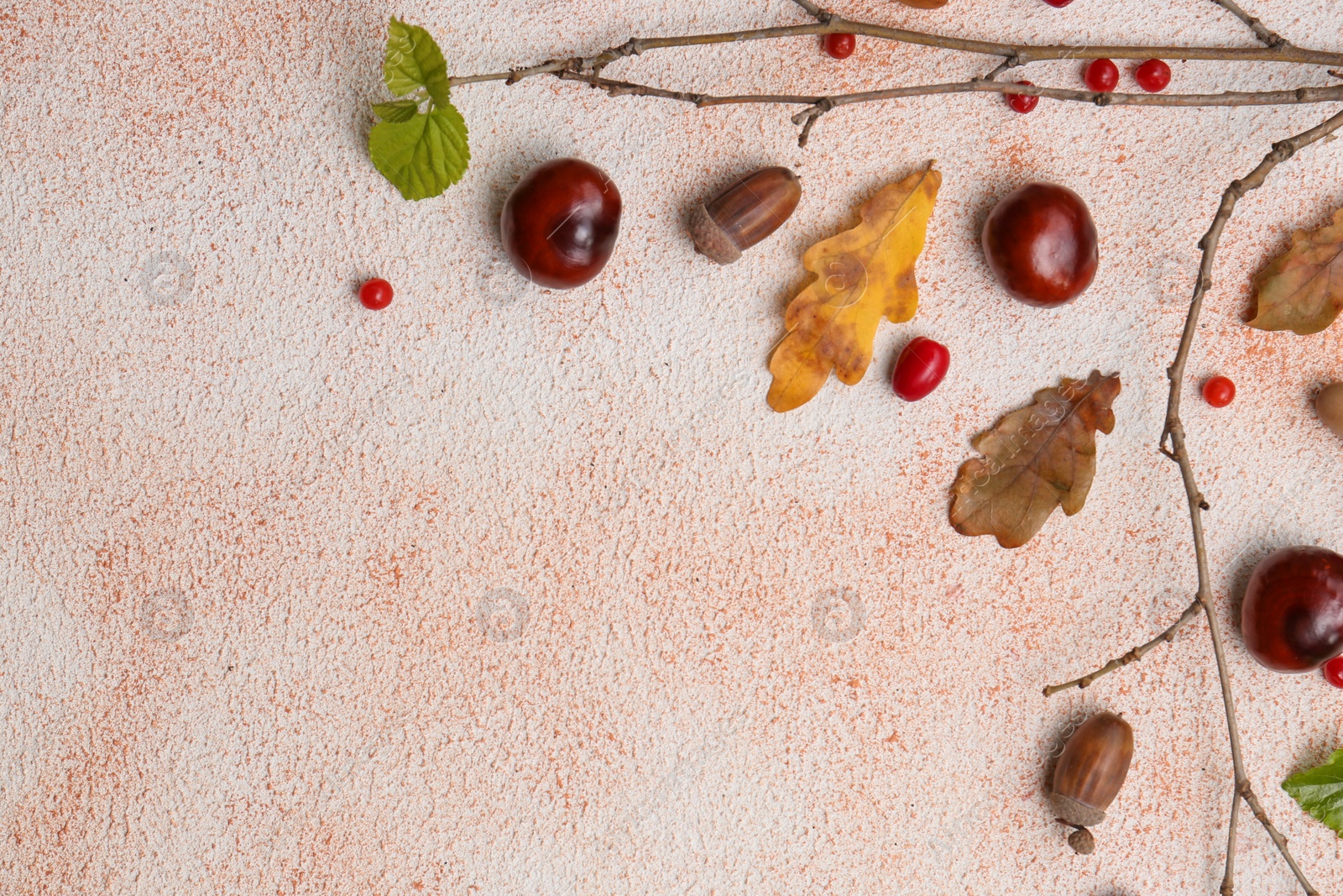 Photo of Composition with autumn dry leaves, acorns, chestnuts, branch and red berries on color background, flat lay. Space for text