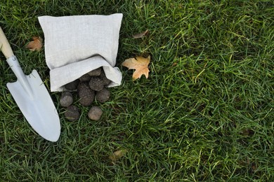 Photo of Bag with fresh truffles and shovel on green grass, flat lay. Space for text