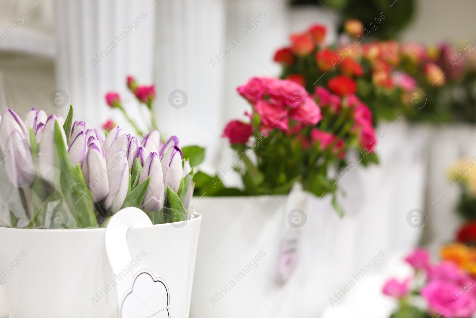 Photo of Beautiful flowers in shop