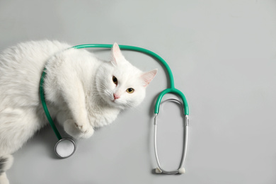 Photo of Cute cat with stethoscope as veterinarian on grey background, top view