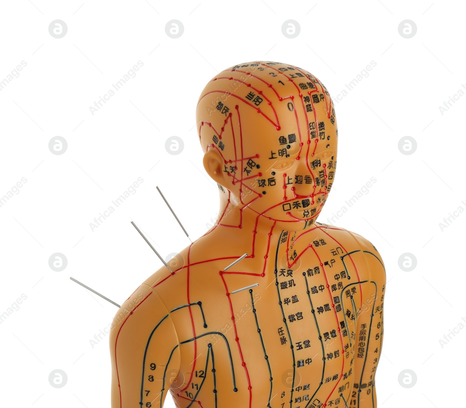 Photo of Acupuncture - alternative medicine. Human model with needles in shoulder isolated on white