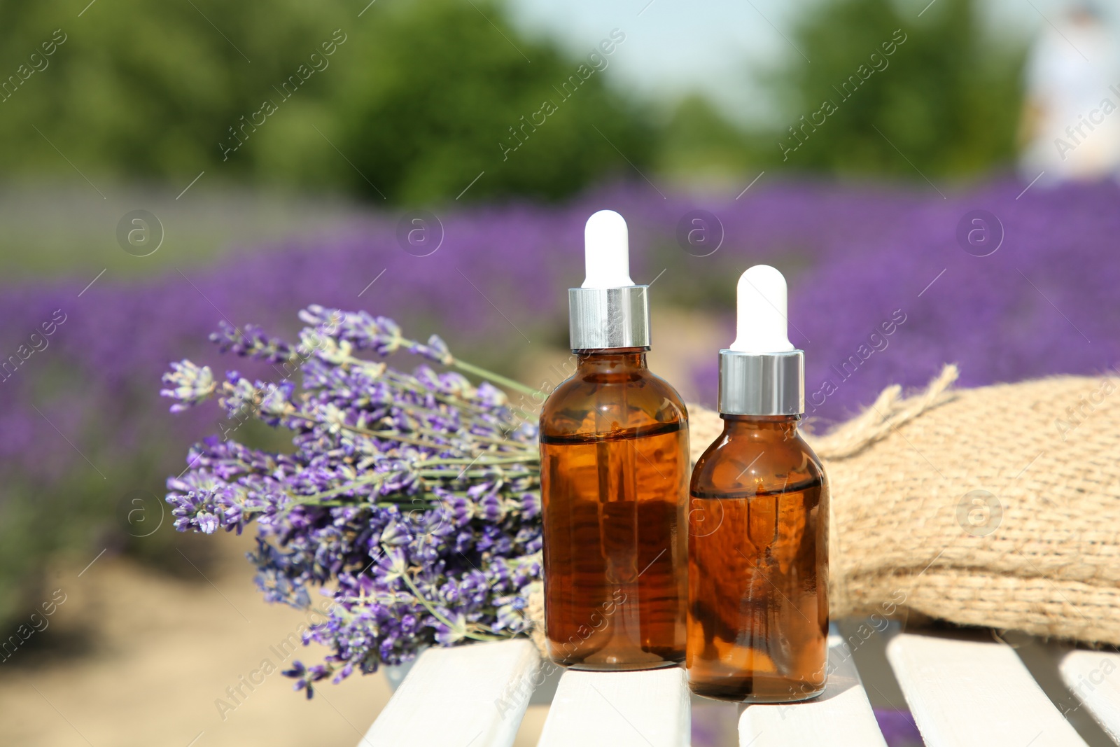 Photo of Bottles of essential oil and lavender flowers on white wooden table in field, closeup