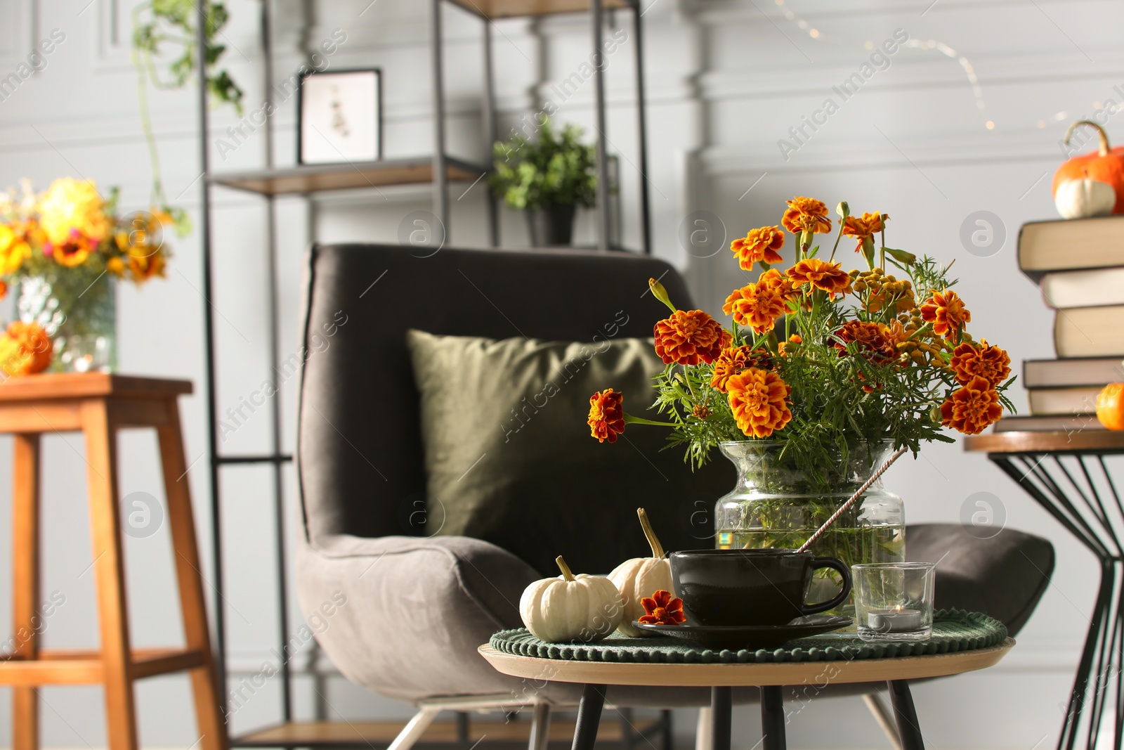 Photo of Beautiful autumn flowers, cup of drink and pumpkins on coffee table indoors, space for text