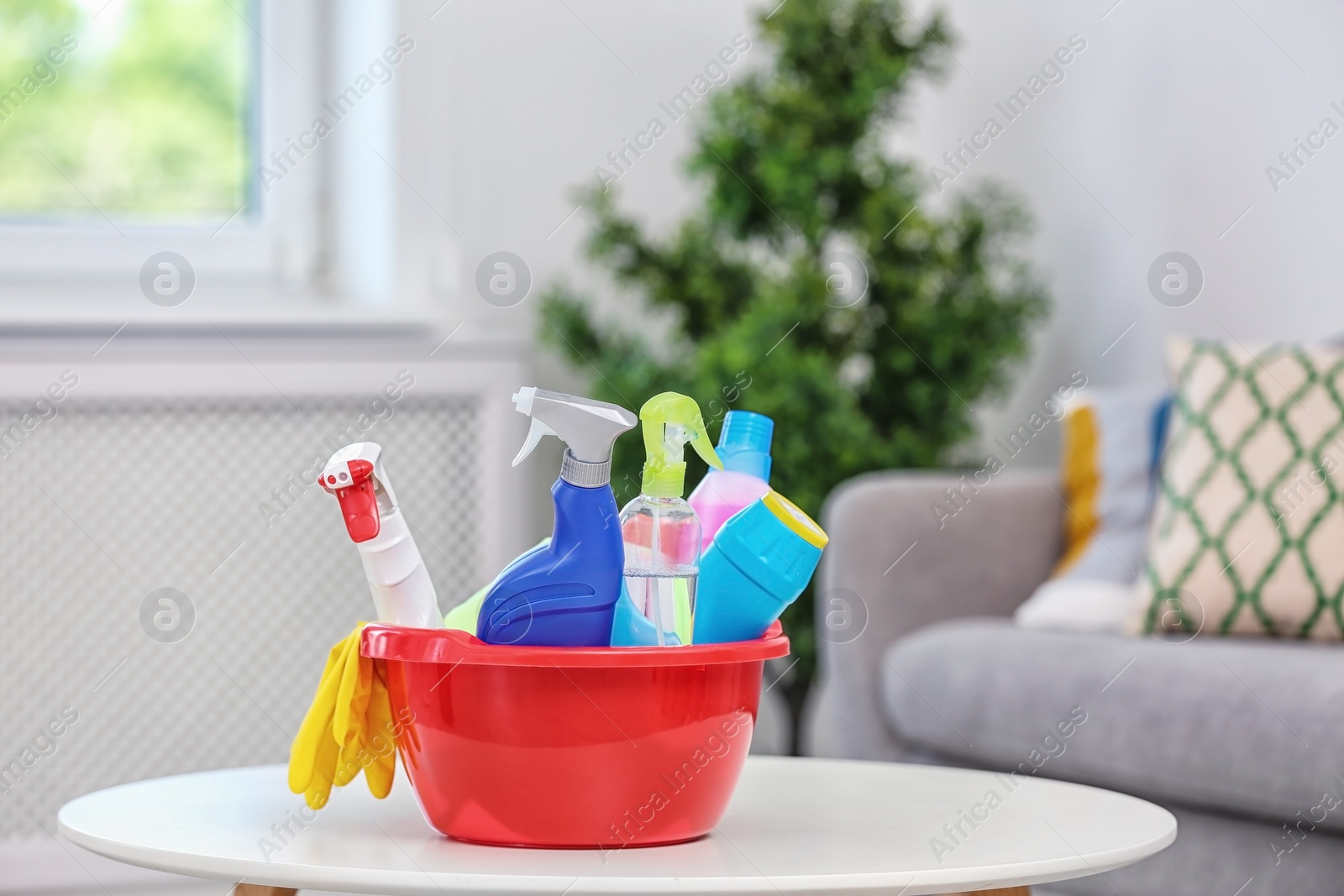 Photo of Basin with cleaning supplies on table indoors