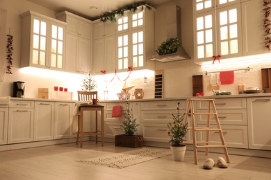 Small Christmas trees and festive decor in kitchen