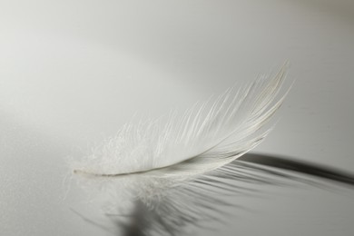 Photo of Fluffy white feather on light grey background, closeup