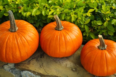 Photo of Many whole ripe pumpkins on stone curb outdoors
