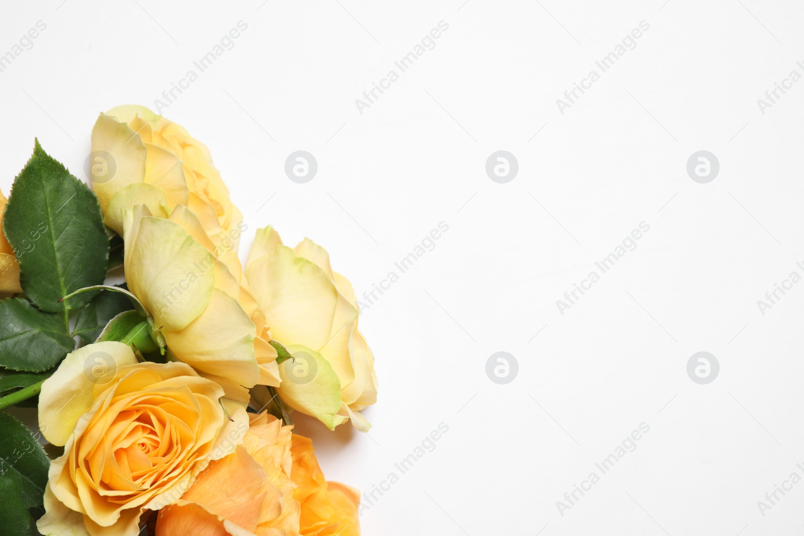 Photo of Composition with beautiful flowers on white background, top view. Floral card design