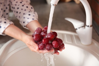 Photo of Woman washing fresh grapes in kitchen sink, closeup