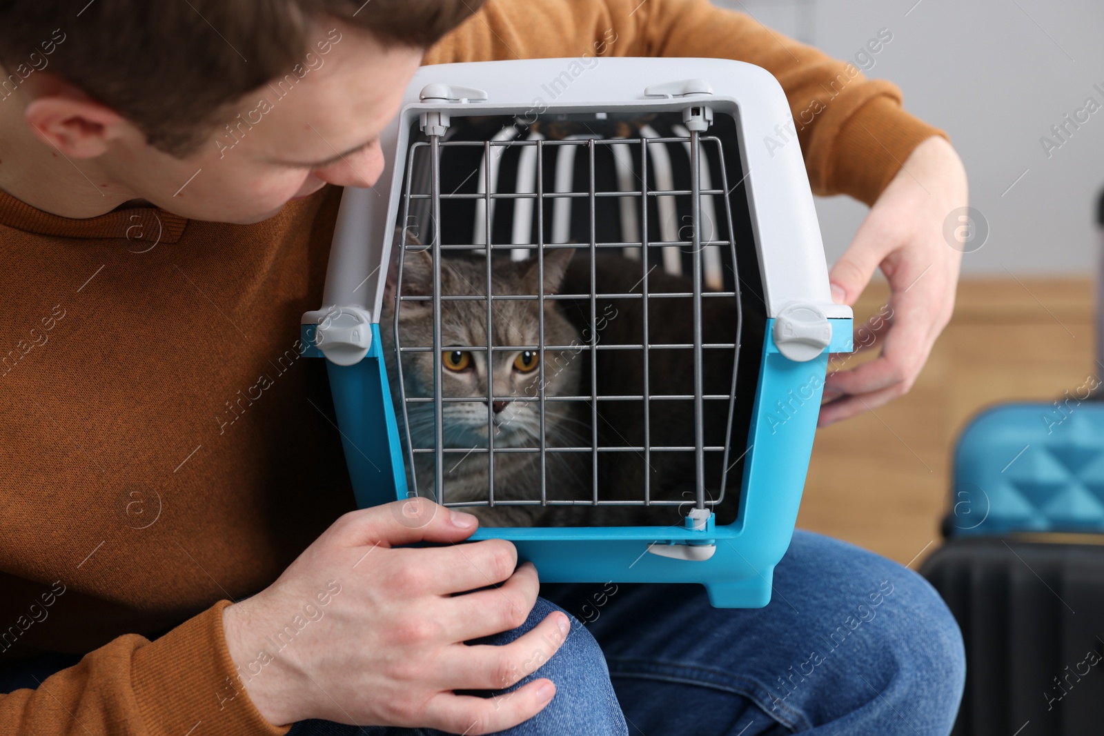 Photo of Travel with pet. Man holding carrier with cute cat indoors, closeup