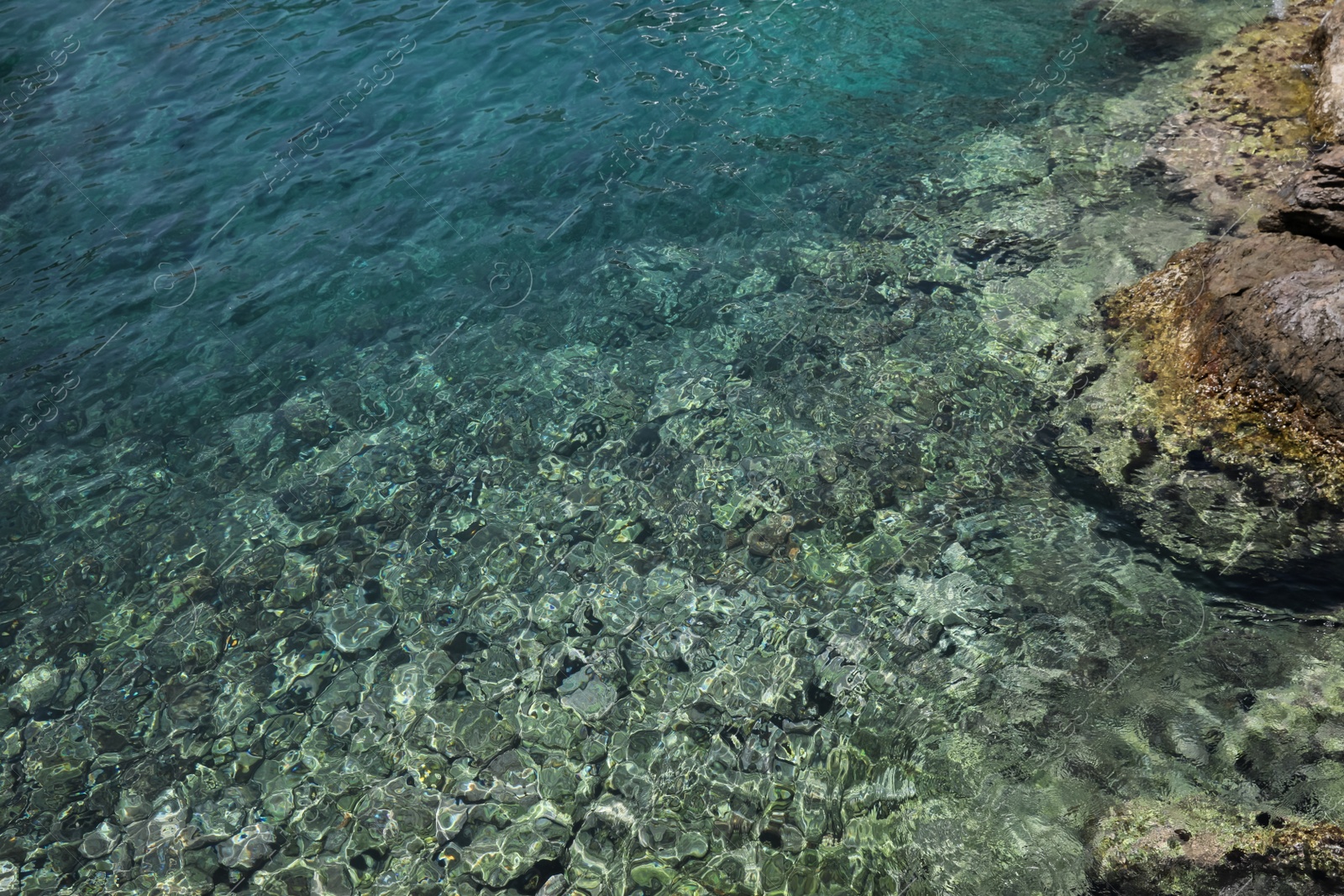 Photo of Shallow water with rocky sea bottom as background