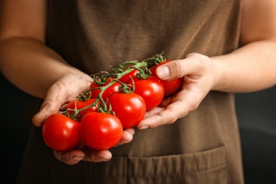 Photo of Farmer holding ripe tomatoes in hands, closeup