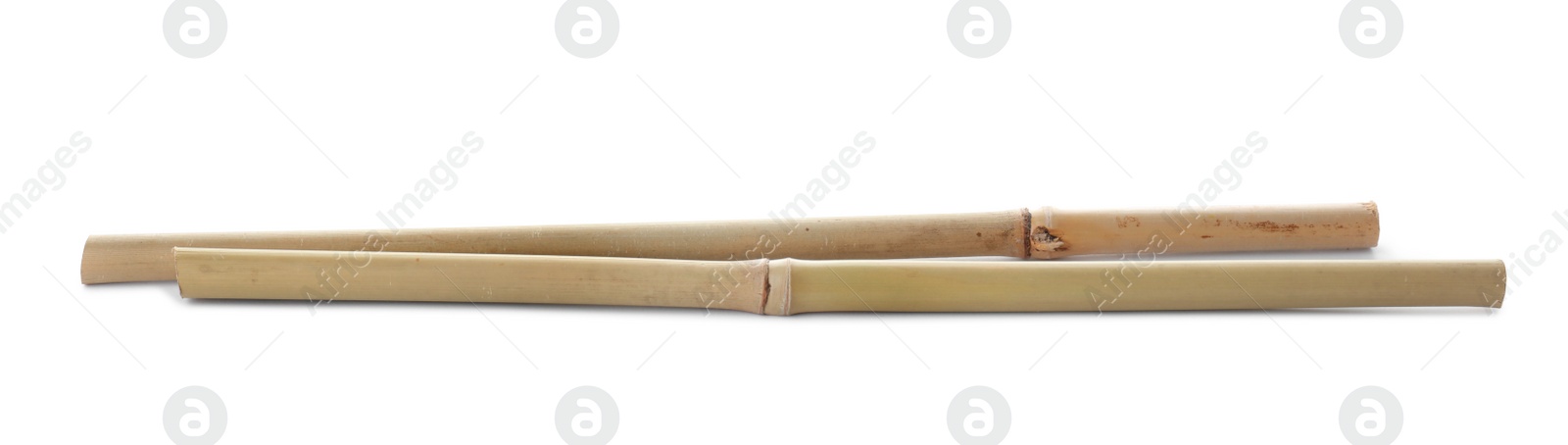 Photo of Dry bamboo sticks on white background