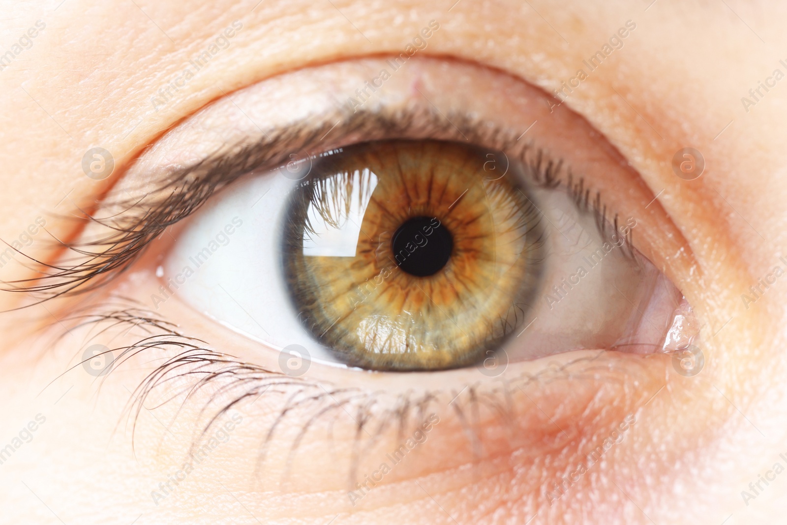 Photo of Macro photo of woman with beautiful eyes