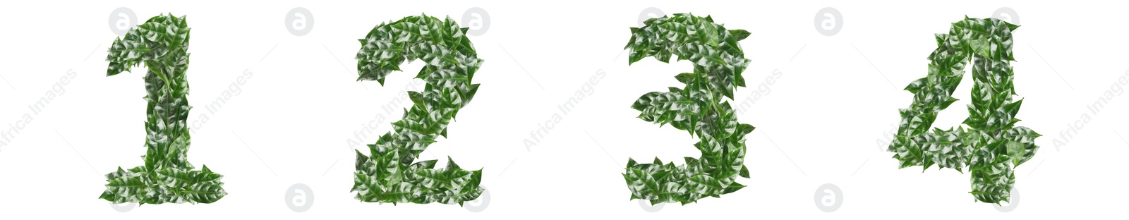 Image of Numbers made of fresh green leaves on white background. Banner design