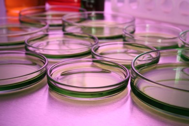 Petri dishes with green liquid on table, toned in pink