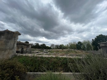 Rotterdam, Netherlands - August 27, 2022: Picturesque view of zoo enclosure with rock cliff