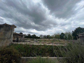 Photo of Rotterdam, Netherlands - August 27, 2022: Picturesque view of zoo enclosure with rock cliff