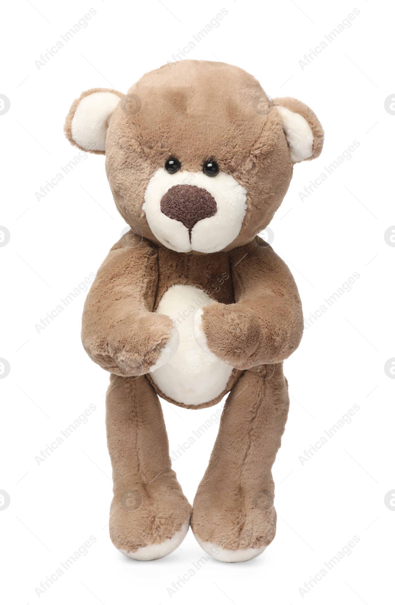 Photo of Cute teddy bear isolated on white. Child`s toy