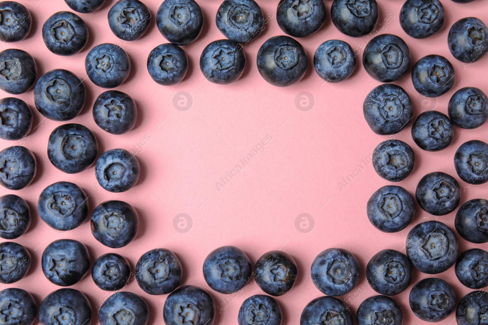 Photo of Frame of ripe blueberries on pink background, flat lay with space for text