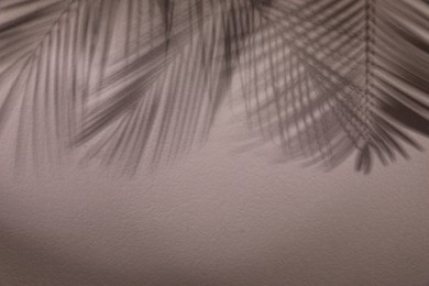 Photo of Shadows of tropical palm branches on light wall, space for text