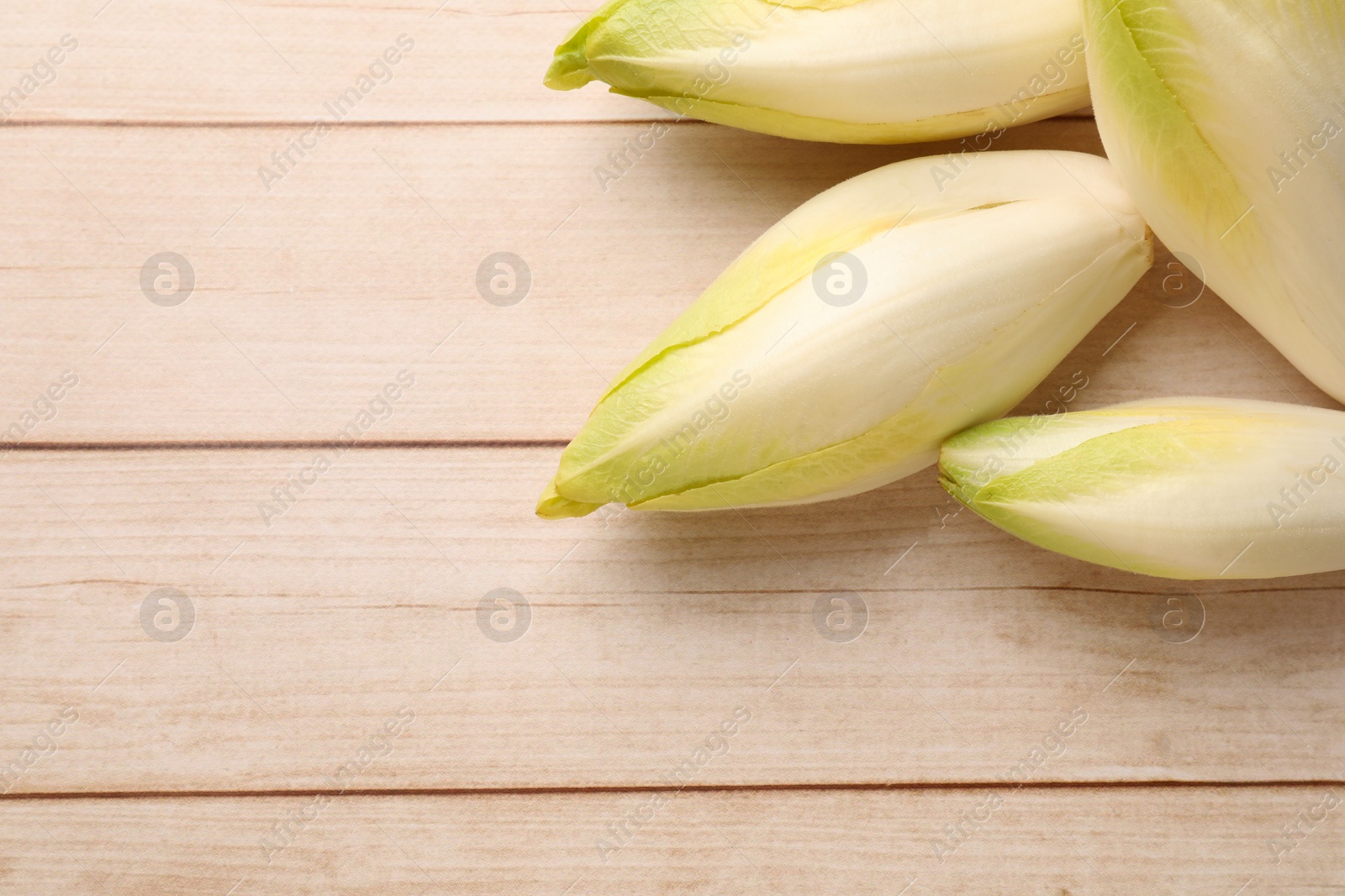 Photo of Raw ripe chicories on wooden table, top view. Space for text