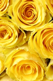 Beautiful bouquet of yellow roses as background, top view