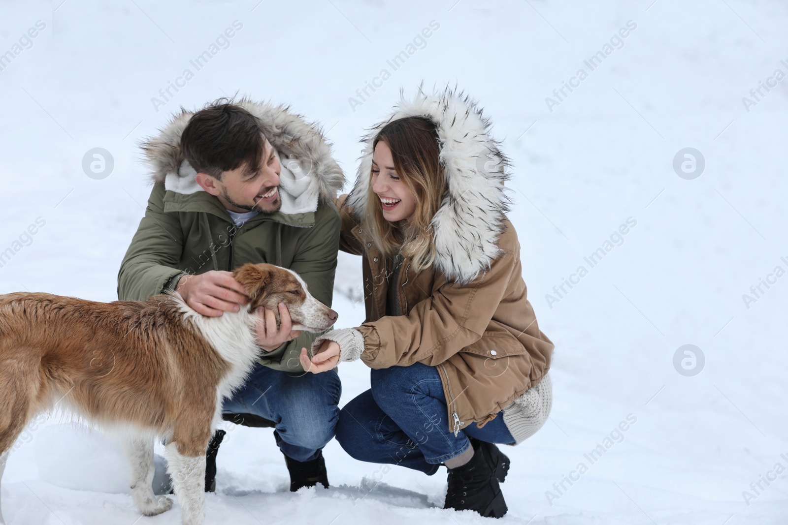 Photo of Happy couple with dog outdoors on snowy day. Winter vacation