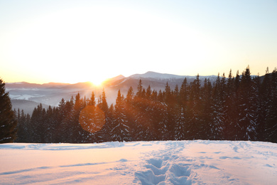 Photo of Picturesque view of conifer forest covered with snow at sunset