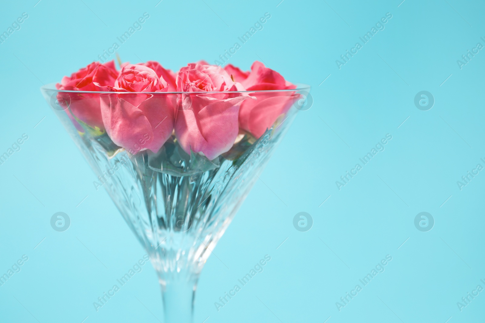 Photo of Beautiful martini glass with pink roses on light blue background, closeup. Space for text