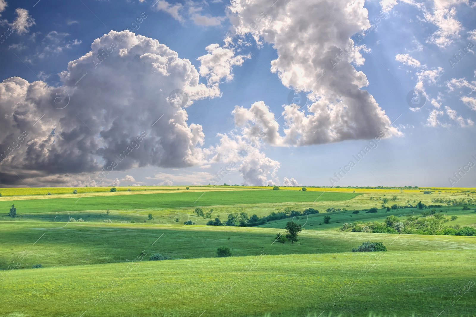 Image of Beautiful green field under blue sky with clouds